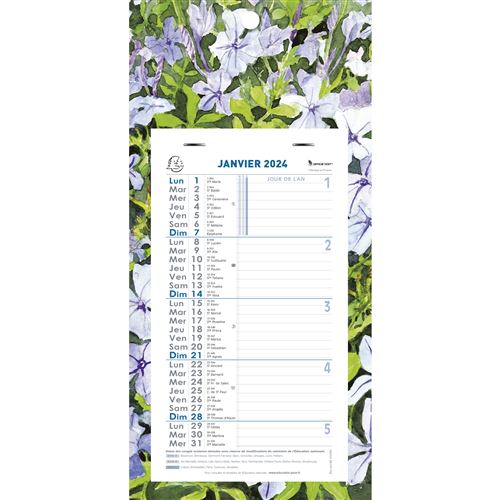 Exacompta - Calendrier mensuel Fleurs avec feuillets détachables 13 x 23 cm  sur support plaque imprimée 16 x 33 cm 2024 - Visuels assortis