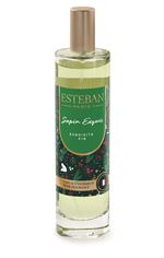 Vaporisateur Esteban Sapin exquis