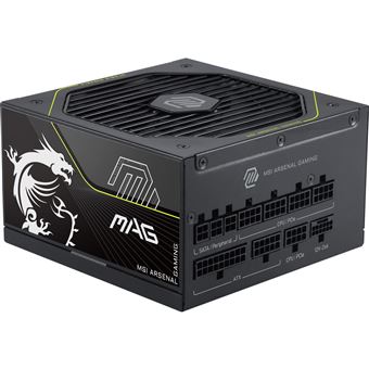 Alimentation PC modulaire MSI MAG A1200PLS PCIE5 1200 W 80 PLUS Platinum Noir - 1
