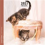 Calendrier Aquarupella Chaton 2021 30 x 30 cm