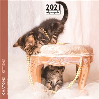 Calendrier Aquarupella Chaton 2021 30 x 30 cm