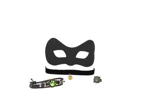 Coffret Masque Et Bijoux Kd Fashion Miraculous Chat Noir Panoplie De Deguisement Achat Prix Fnac