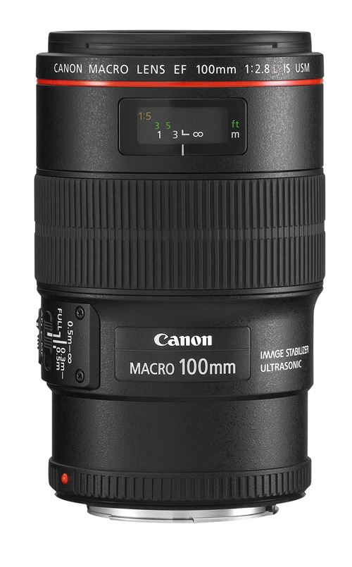 Firefly 　　Canon EF 100mm f/2.8L Macro Objectif-reflex-Canon-EF-100-