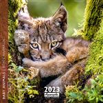 CALENDRIER 2023 30X30 BEBES ANIMAUX