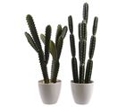 Cactus vert artificiel - tiges plates