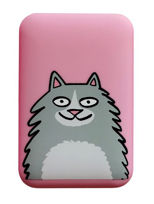 Batterie externe Tiffany cooper 10.000 mAh Rose et Gris