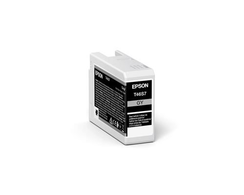 Cartouche d encre Epson T46S7 25 ml Gris anthracite