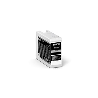 Cartouche d'encre Epson T46S7 25 ml Gris anthracite - 1