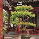 CALENDRIER 2023 16X16 BONSAI