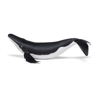 Papo - Figurines A Collectionner - Dauphin - Animaux De La Mer - pour Enfants - Filles Et Garçons - A Partir De 3 Ans Papo - Figurines A Collectionner - Dauphin - Animaux De La Mer - pour Enfants - Filles Et Garçons - A Partir De 3 Ans