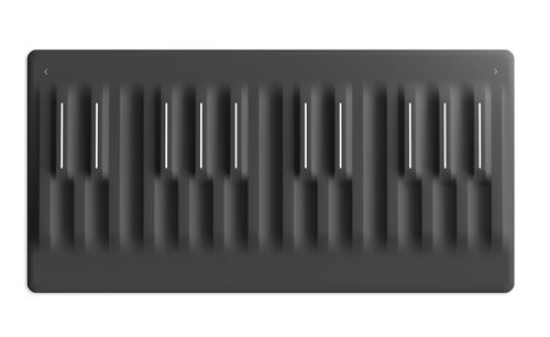 Contrôleur portable ROLI Seaboard Block