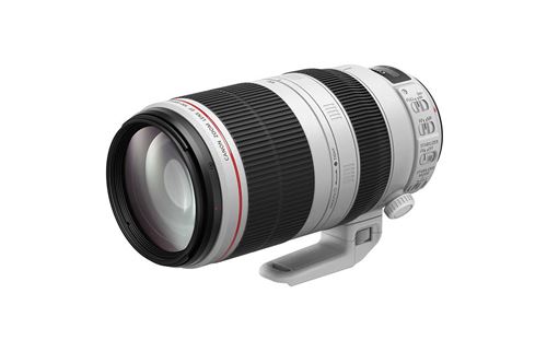 Canon EF 100-400 mm f/4.5-5.6L IS II USM Reflex Lens