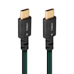 Câble USB Type C Audioquest Forest 0.75 m Noir