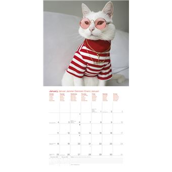 Calendrier TeNeues Zappa le chat 2021 30 x 30 cm