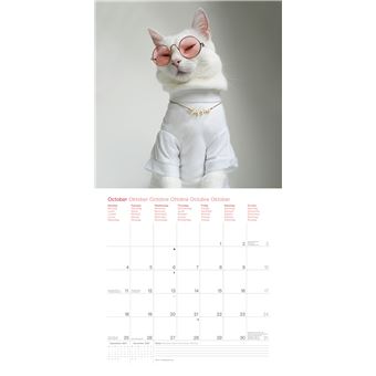 Calendrier TeNeues Zappa le chat 2021 30 x 30 cm