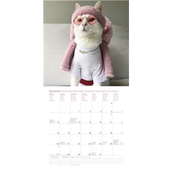 Calendrier TeNeues Zappa le chat 2021 30 x 30 cm