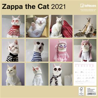 Calendrier TeNeues Zappa le chat 2021 30 x 30 cm