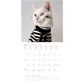 Calendrier TeNeues Zappa le chat 2021 30 x 30 cm