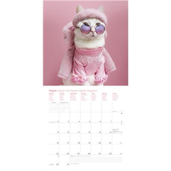 Calendrier TeNeues Zappa le chat 2021 30 x 30 cm