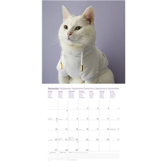 Calendrier TeNeues Zappa le chat 2021 30 x 30 cm