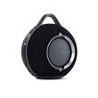 Enceinte sans fil portable Devialet Mania Deep Black