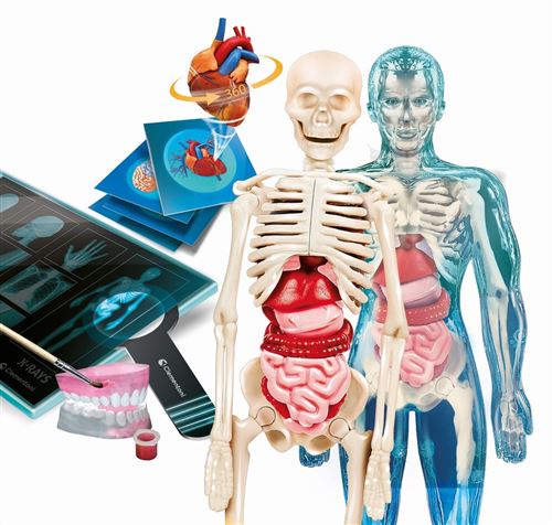 L'anatomie humaine en 3D (DVD)