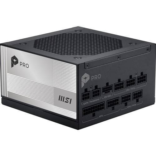 Alimentation PC modulaire MSI PRO A850PL PCIE5 850 W 80 PLUS Platinum Noir