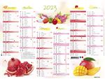 CALENDRIER 2023 PLAN 6M CUISINE 265X210