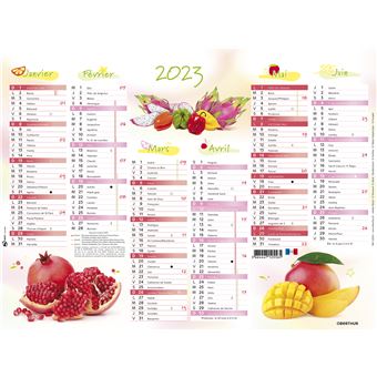 CALENDRIER 2023 PLAN 6M CUISINE 265X210