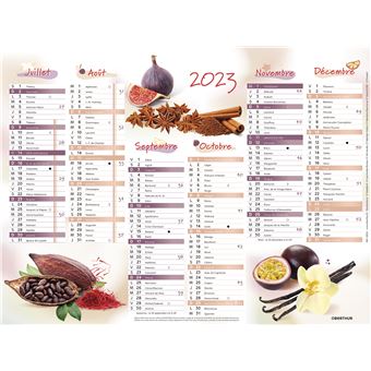 CALENDRIER 2023 PLAN 6M CUISINE 265X210