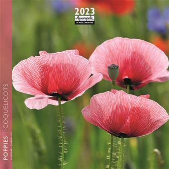 CALENDRIER 2023 16X16 COQUELICOTS