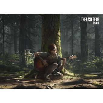 Lenticulaire The Last of Us Part II PS4