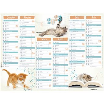 Calendrier Oberthur Chatons festifs 2022 6 mois par Face 27 x 21 cm