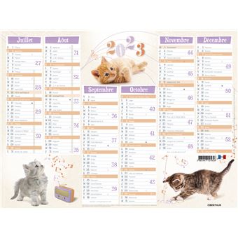 Calendrier Oberthur Chatons festifs 2022 6 mois par Face 27 x 21 cm