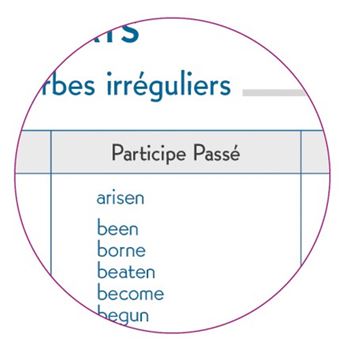 Agenda journalier Exacompta 2022 2023 Forum Kaa Modèle aléatoire