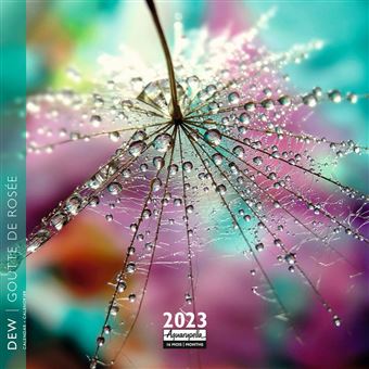 CALENDRIER 2023 16x16 GOUTTE DE ROSEE