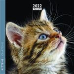 Calendrier Pictura 2022 Chatons 16 x 16 cm