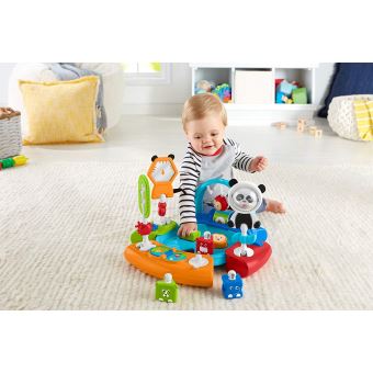 Siege D Activites Bebe Transformable En Table Fisher Price Jeu D Eveil Fnac Ch