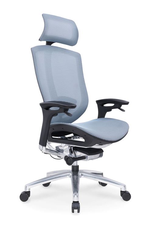 Chaise de bureau ergonomique Weseat Wheeler WS-WLR-BH Bleu