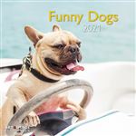 Calendrier TeNeues Funny Dogs 2021 30 x 30 cm