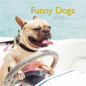 Calendrier TeNeues Funny Dogs 2021 30 x 30 cm