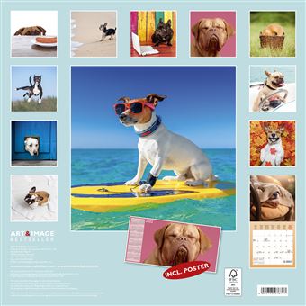 Calendrier TeNeues Funny Dogs 2021 30 x 30 cm