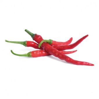 Lingot Veritable Piment de Cayenne Bio