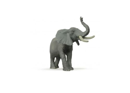 EL{PHANT BARRISSANT