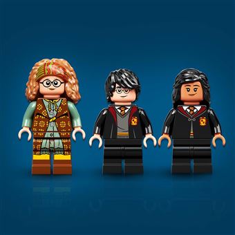 LEGO® Harry Potter™ 76396 Poudlard Le Cours de Divination