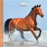 Calendrier Pictura 2022 Chevaux 16 x 16 cm