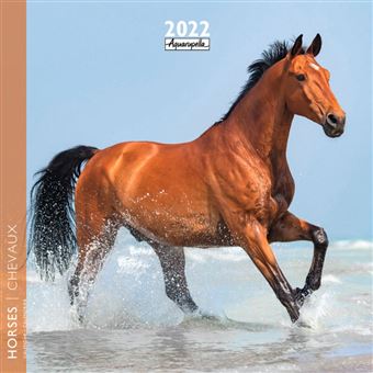 Calendrier Pictura 2022 Chevaux 16 x 16 cm