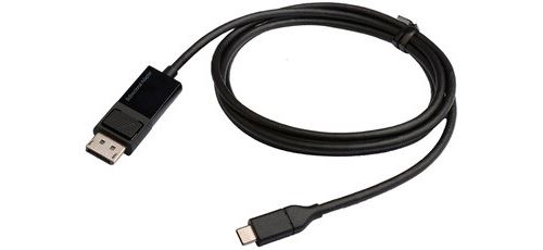 Câble DisplayPort vers USB Type C Erard 1 m Noir