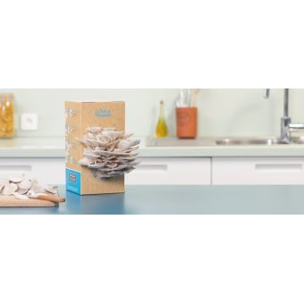 Kit Champignons De Paris Gris à Cultiver Chez Soi - 3L De Mycélium - 1ère Récolte En 2 Semaines - Serre Incluse - 2