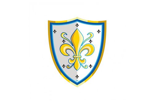 Papo Multicolore Déguisement Bouclier Fleur De Lys